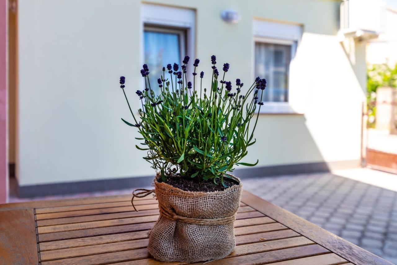 Studio Apartment Gina Zadar Dış mekan fotoğraf